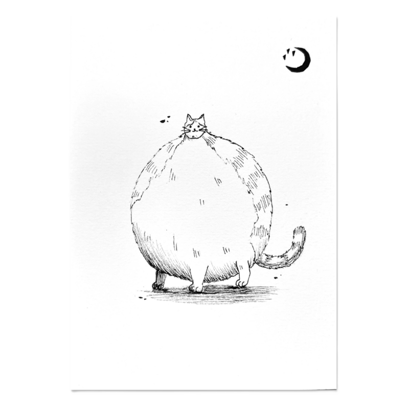 Chonky boy – Original